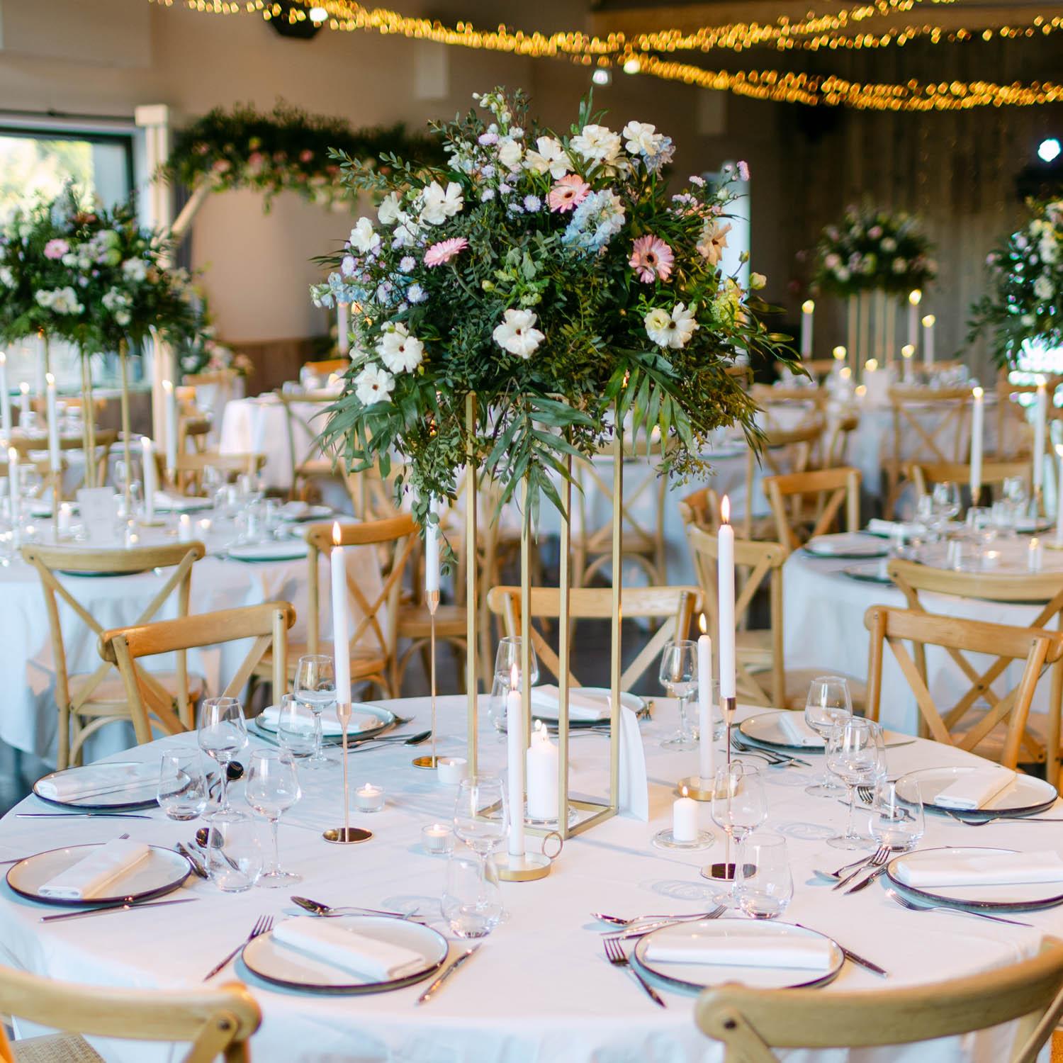 TAB HAU 001 2026 02 1 P 