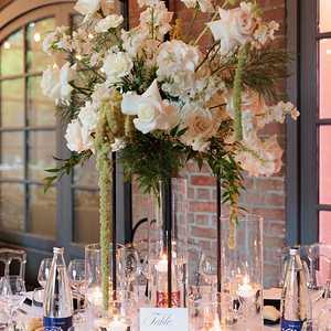 TAB HAU 003 2024 4 L