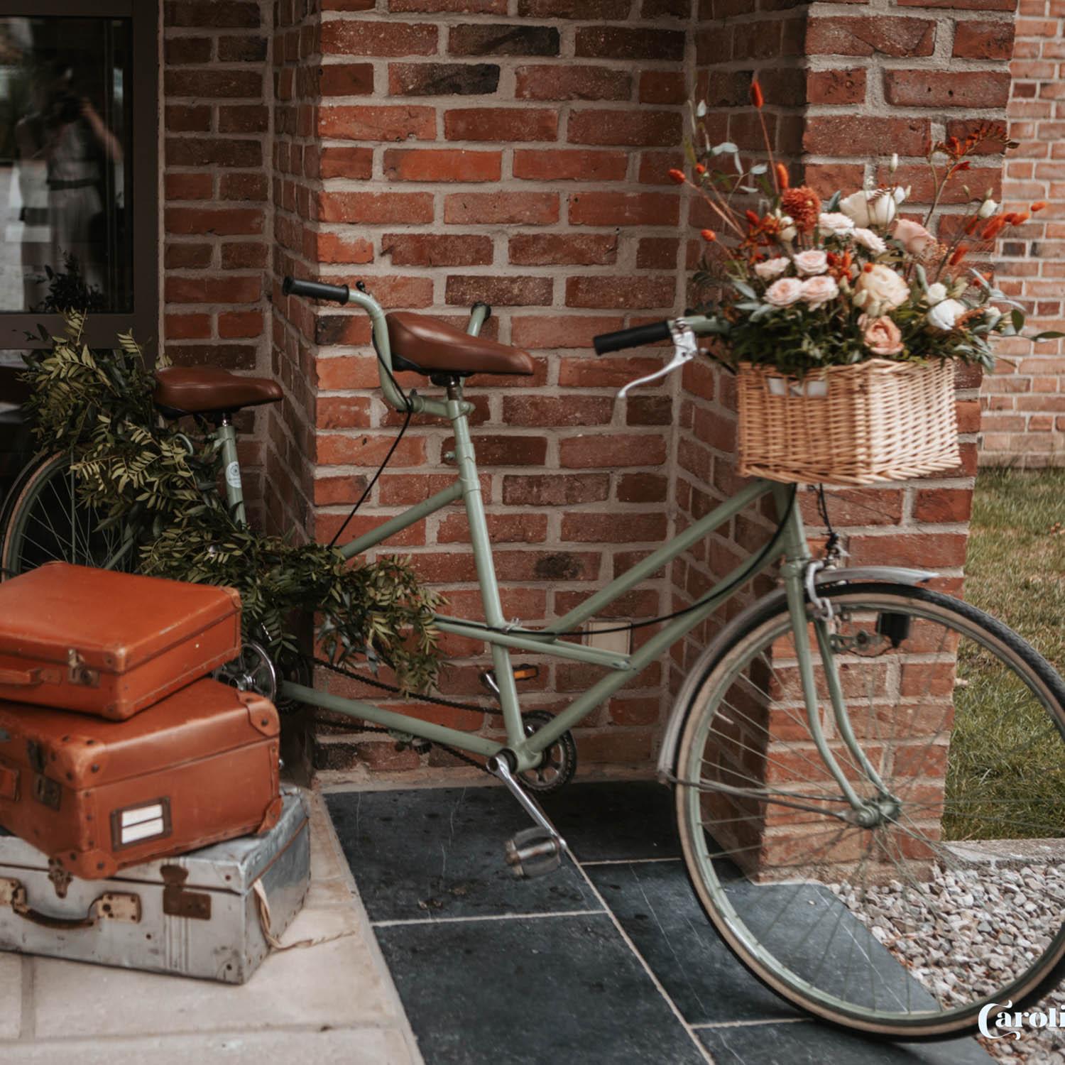 SAL ROU 003 2025 12P 