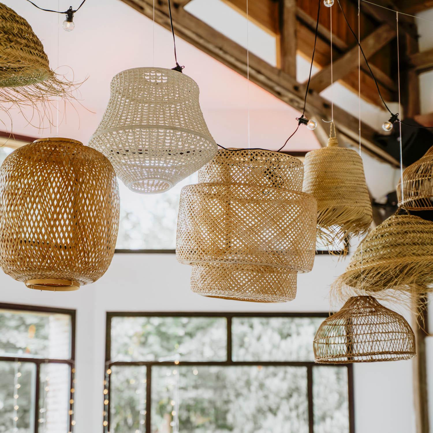 SUS DIV 002 2026 02 Grosse Bambou 1 P 