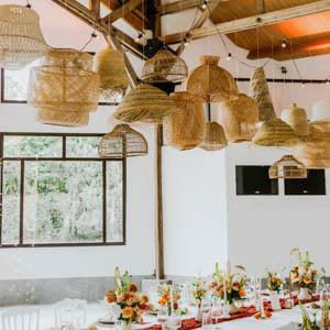 SUS DIV 003 2026 02 Tricot 1 L 