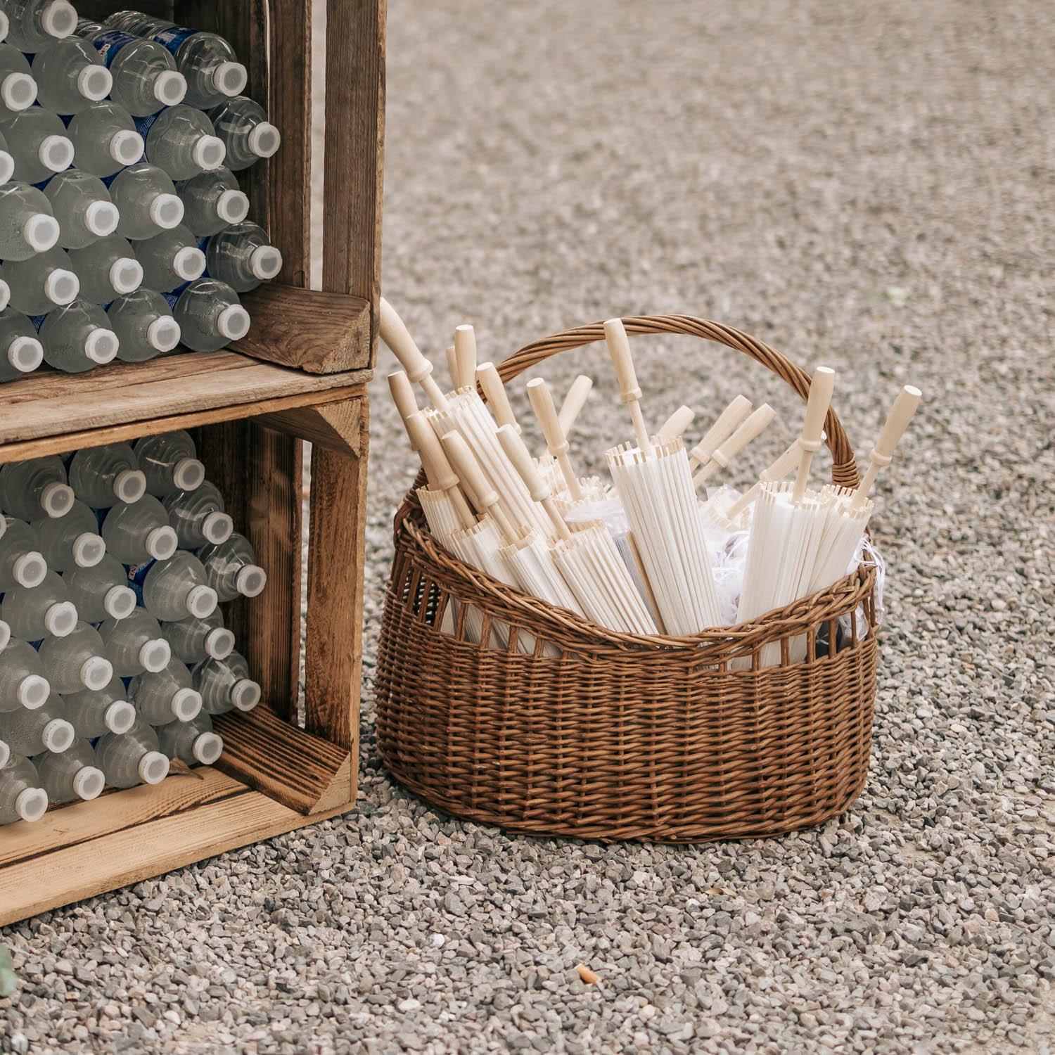 SAL PAN 019 2026 02P 