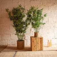 PRO PLA BambouP 2024 2 V