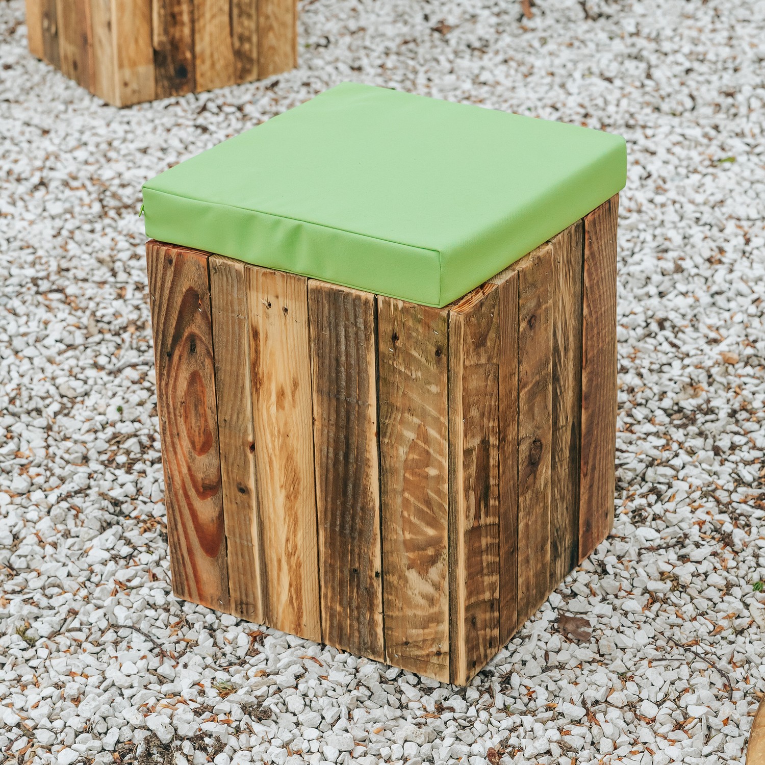 PRO CUB Vert 1 