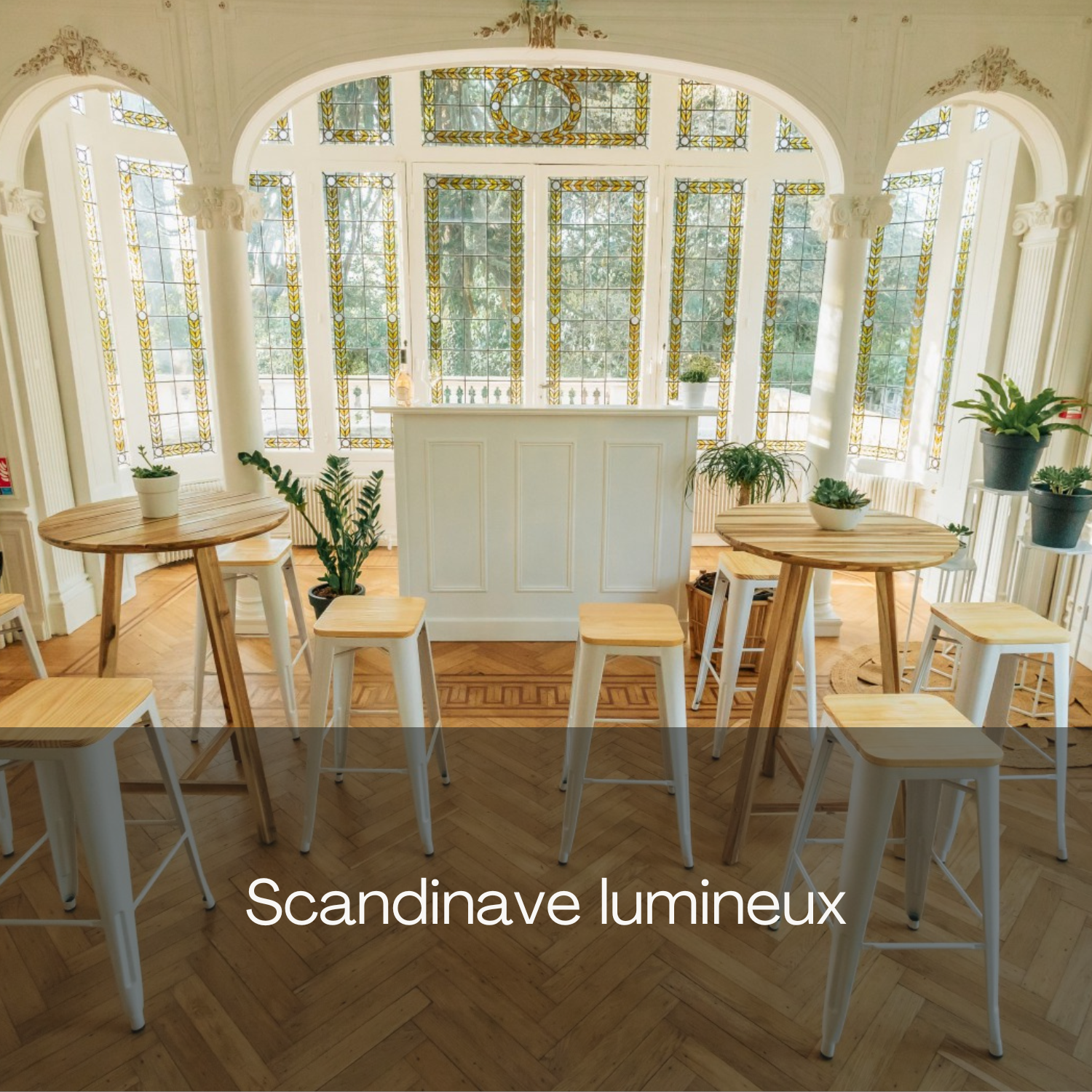 Scandinave Lumineux
