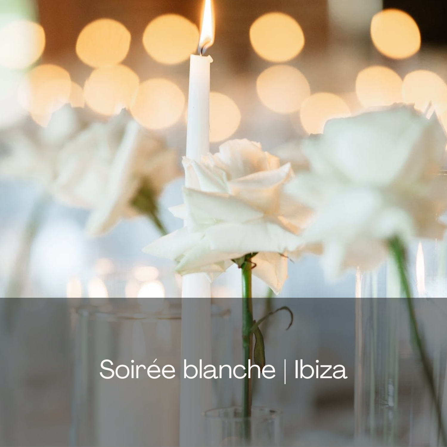 Soiree Blanche Ibiza