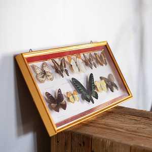 SAL OBJ 149 2025 2 L