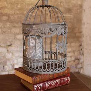 SAL OBJ 157 2025 1 L