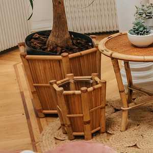 SAL VAS 161 2023 11 L