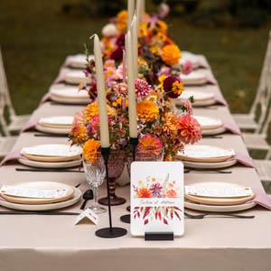 TAB BOU 074 2025 12 1 L